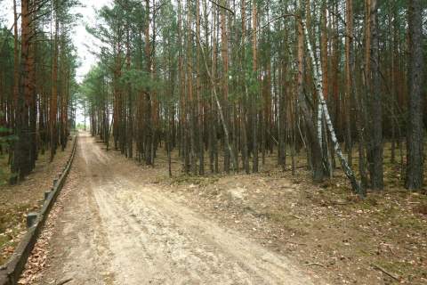 Działki pod przyszłe inwestycje Warszawa Wesoła