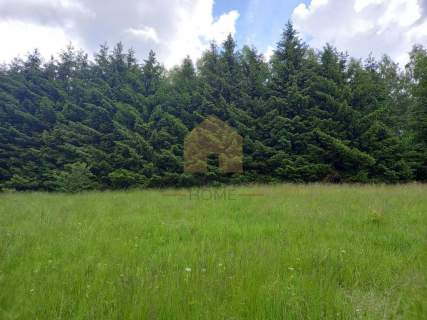 Działka budowlana 6367 m2, Walim