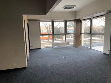 Nowoczesny,kameralny biurowiec z windą open-space