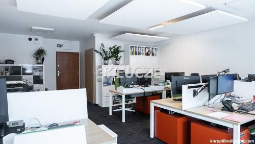 Lokal biurowy CENTRUM