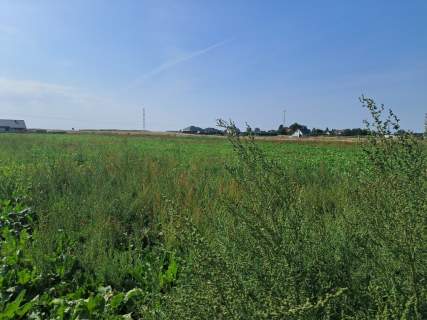 Działka budowalna 16a - Gm. Puchaczów - Turowola.
