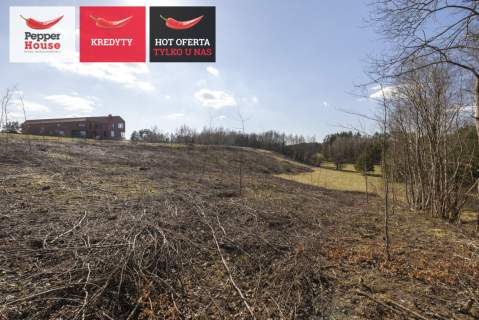 Michalin Działka 3000 m MPZP 27MN jezioro