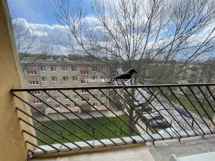 3 pokoje balkon Na Stoku od zaraz