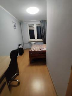 M3 Ostatni Grosz