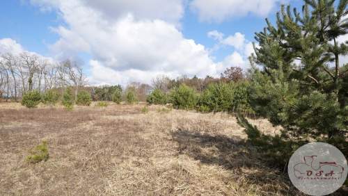 Rezydencjonalna pod lasem Esterpole 2824 m MPZP 