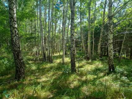 3 działki wybór w klimatycznym miejscu Florczaki