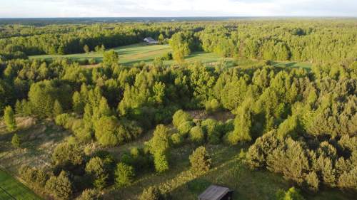 Nietypowa działka 2 ha w Kawęczynie gm. Ciepielów