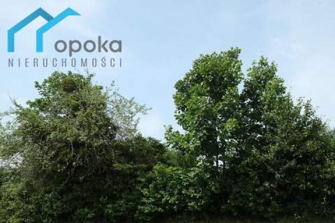 Działka budowlana , widokowa
