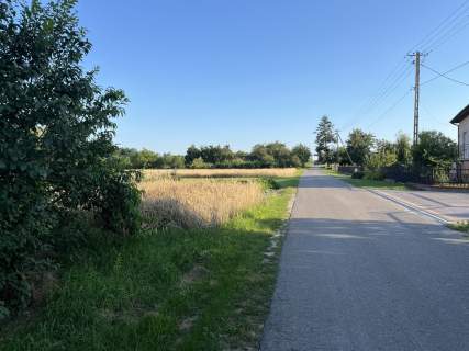 Duża działka 2,9 ha w Jabłonowie gm. Policzna.