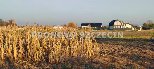 Lubczyna, działka nad Jeziorem Dąbie sprzedaż