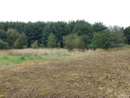 Działka budowlana na sprzedaż, 1492 m2, Stara Dąbrowa