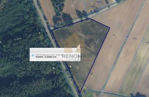 Do sprzedaży działka 2,28 ha w Mierzowicach.