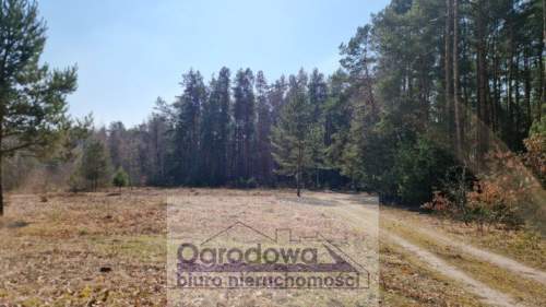 Działka przy lesie