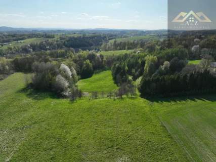 Działka budowlana na sprzedaż, 19800 m2, Zalasowa