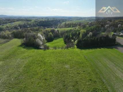Działka budowlana na sprzedaż, 19800 m2, Zalasowa