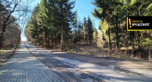 DZIAŁKA NAD JEZIOREM NARIE - MPZP ZAB. LETNISKOWA