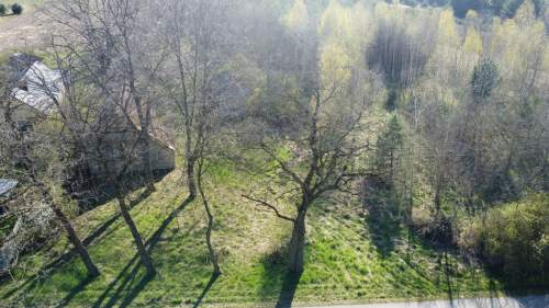 Dziełka rolna w Borowcu gm. Ciepielów pow. lipski.