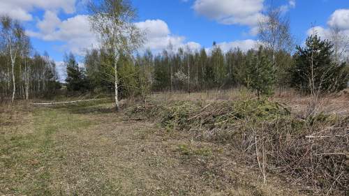 Sprzedam działkę budowlaną Załuski 1000 m MPZP media