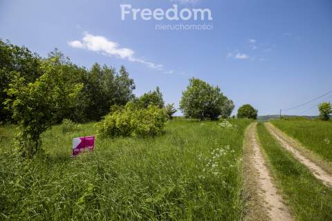 1,8 ha pod rekreację, siedlisko lub fotowoltaikę