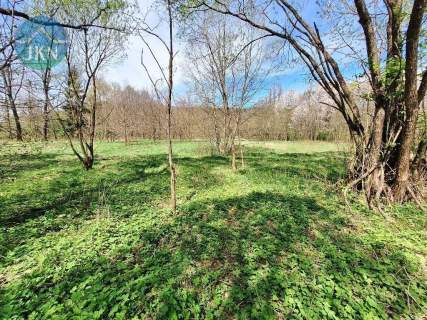 Doświadczaj Beskidów - 60 arów naturalnej wolności