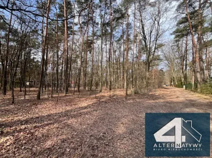 Działka w leśnym zaciszu Sokolnik 1680 m2