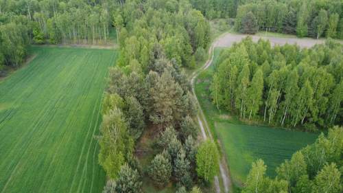 Działka o pow. 1,63 ha w Karolowie gm. Chotcza.