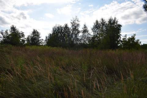 Działka rolna 27a - Hermanowa