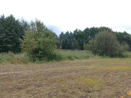 Działka budowlana na sprzedaż, 1492 m2, Stara Dąbrowa