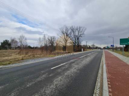 Piękna Działka Żłobnica Kleszczów 2629m2