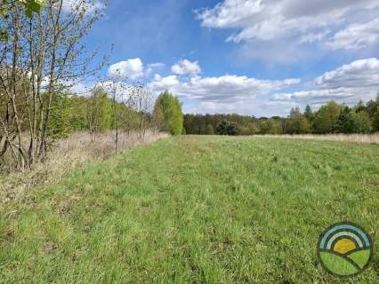 Kleszczów gm. Zabierzów - działka rolna 8340 m2 k/lasu
