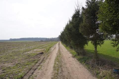 DZIAŁKA BUDOWLANA BODUSZEWO