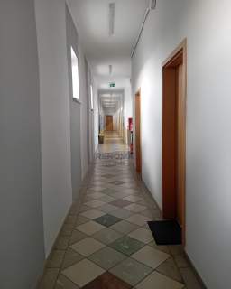 BIURA DO WYNAJĘCIA 