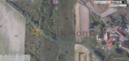 Działka na sprzedaż, 5500 m2, Lubiechów