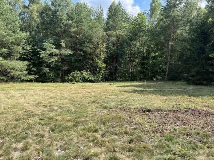 Działka 3117 m2 pośród drzew w Kowali gm. Puławy.