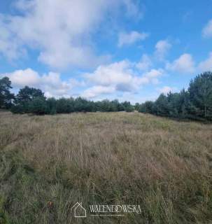 Działka 4000 m2 Smołdzino- idealna lokalizacja