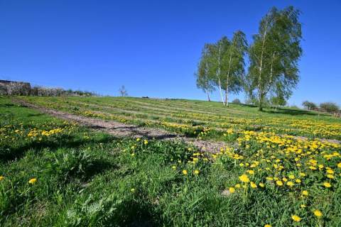 Karczmiska I 12 km od Kazimierza Dolnego