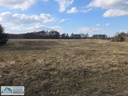 Działki budowlane nad jeziorem   Kornelin
