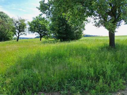 Gospodarstwo o pow.4 ha w okolicach Krakowa.