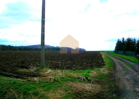 Działka rolna w Święcku - prostokątna, wygodna