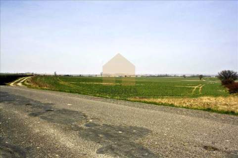 Działka na sprzedaż, 1300 m2, Rosochata