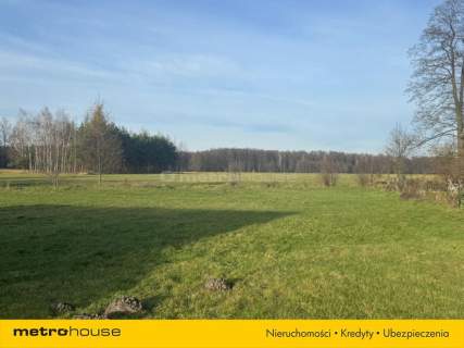 Dom na sprzedaż, 70 m2, Nowe Budy