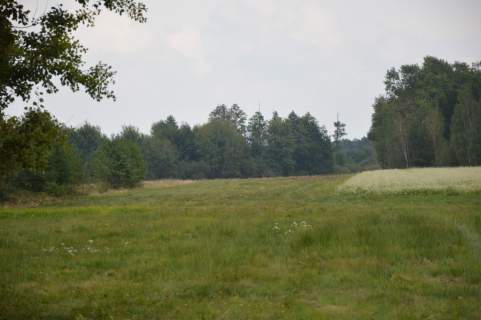 Działka 1.77 ha w Brzeźnicy Leśnej pow. Lubartów.