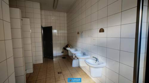 Hala produkcja spożywcza wynajem
