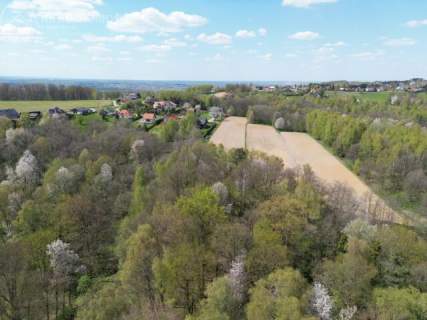 Twój prywatny las blisko Tarnowa - 98 arów spokoju i natury 