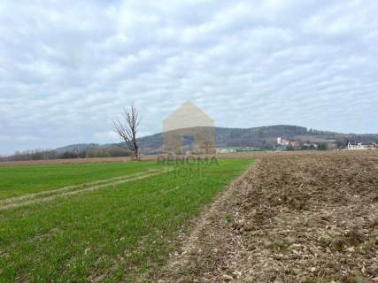Duża działka oddalona od drogi głównej 