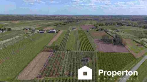 Gospodarstwo sadownicze 6,86 ha Franciszków