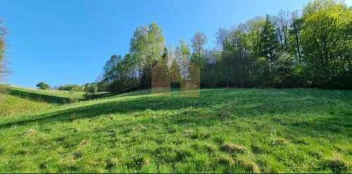 Działka na sprzedaż, 8900 m2, Michałkowa