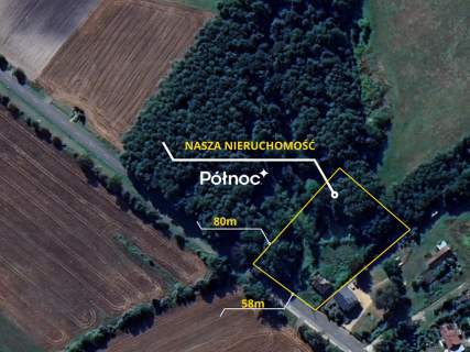 Działka rolno-budowlana z potencjałem w Chotyłowie
