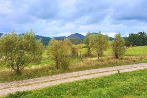 Działki budowlane/ las/ natura/ media