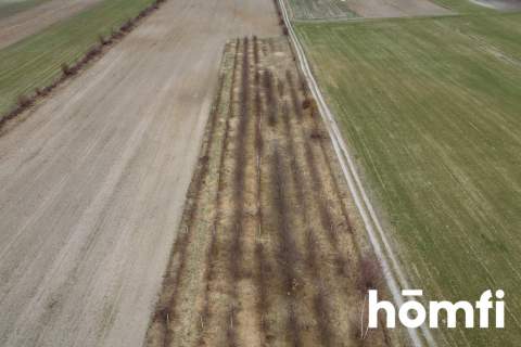 Działka Borowina Starozamojska 3000 m2 z WZ